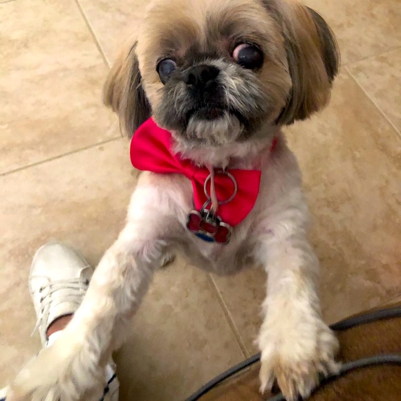 Meet your Posher, Marie - Picture 2 of 8